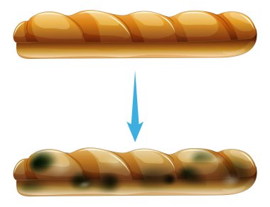 Kalıplı ve biçimsiz ekmek.