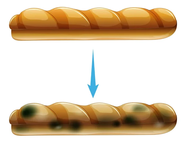 Хліб Їстівний Ілюстрацією Форми — стоковий вектор