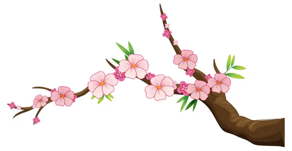 Cherry Blossom Branch Isolated Illustration — Stock Vector