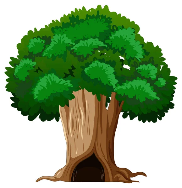 Árvore Grande Isolado Desenho Animado Ilustração —  Vetores de Stock
