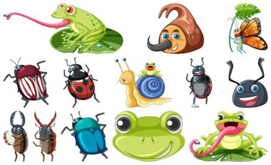 Set of various insects and amphibians cartoon illustration