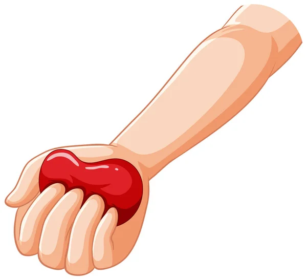 Human Hands Holding Heart Illustration — Stock Vector