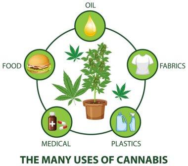 The many uses of cannabis diagram illustration