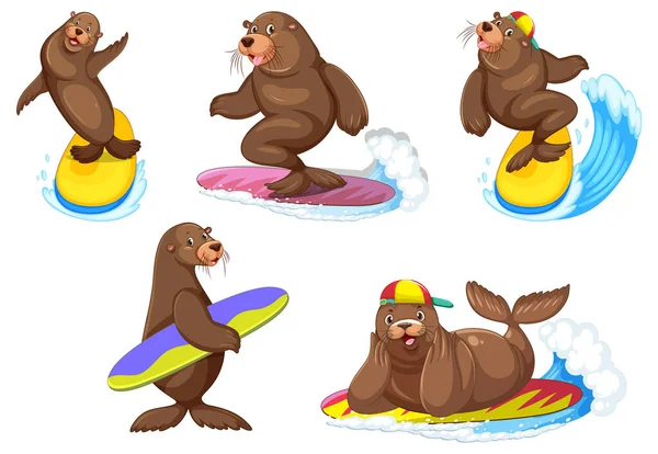 Set Different Sea Lions Cartoon Characters Illustration — Archivo Imágenes Vectoriales