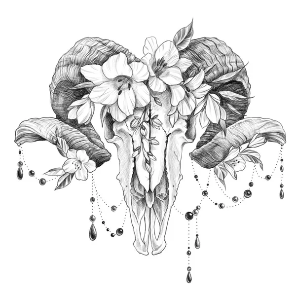 Illustration Style Tatouage Avec Crâne Bélier Avec Fleurs — Photo