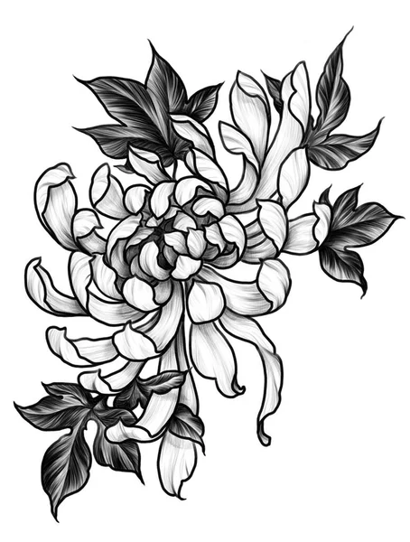Fleur Chrysanthème Illustration Graphique Style Tatouage Japonais — Photo