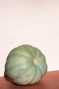 kabak kahverengi arkaplanda izole edilmiş, metin için boş alan, doğal güneş ışığı