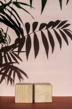 Ön planda bulanık palmiye yaprakları olan tahta küpler ve derin uzun gölgeler, doğal güneş ışığı.