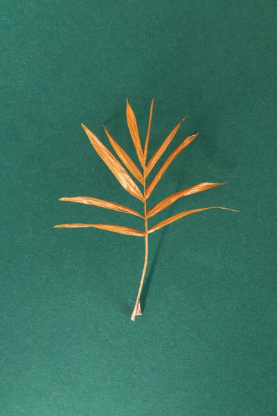 Zlaté Malované Palmové Listy Zeleném Pozadí — Stock fotografie