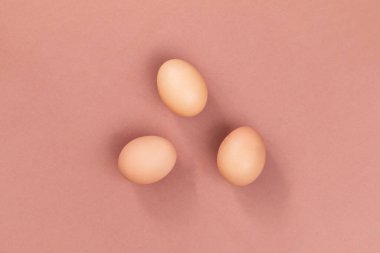 Bir yumurtayı kapat, tek renkli. 