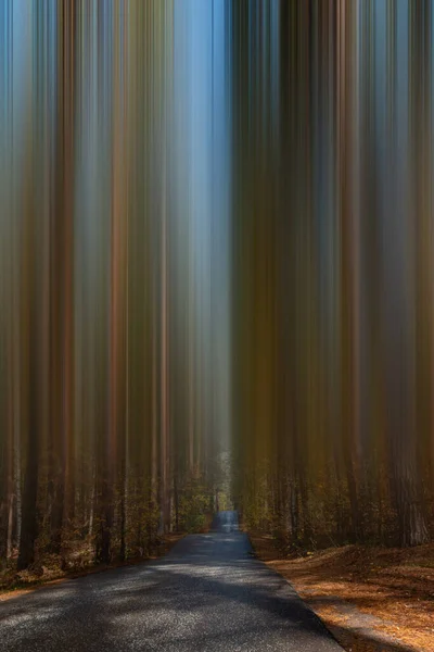 Immagine Surreale Con Strada Alberi Sfocati — Foto Stock