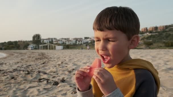 Bonito menino comendo fatia de melancia suculenta sentado em uma praia tropical. — Vídeo de Stock