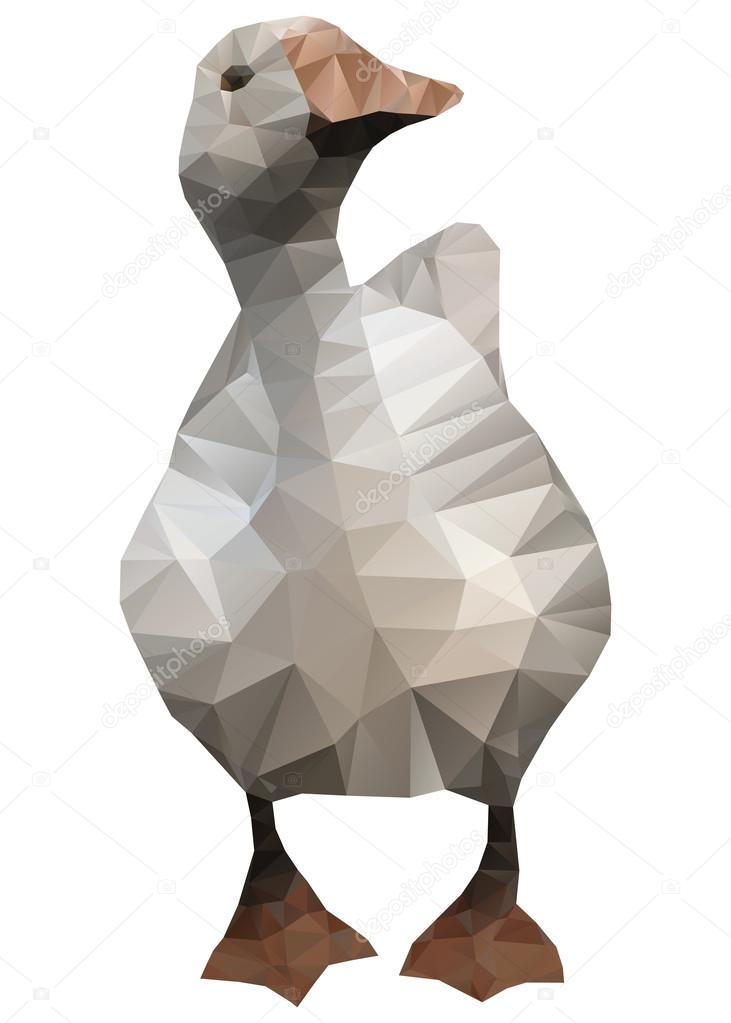 Geometrical goose.