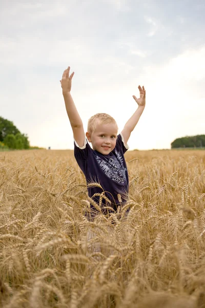 Pojken i ett vete fält. — Stockfoto