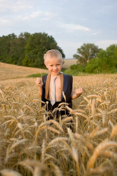 Boy v pšeničné pole. — Stock fotografie