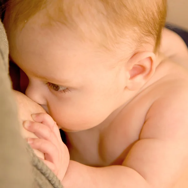 Newborn baby is breast feeding — Stock Photo, Image