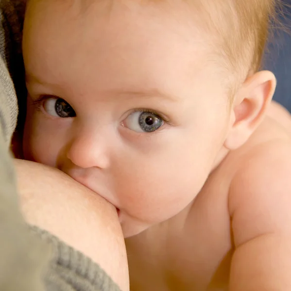 O bebê recém-nascido está amamentando — Fotografia de Stock