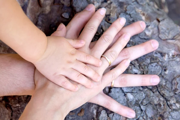 赤ちゃん、母親と父親 - 樹皮に家族の 3 つの手 ロイヤリティフリーのストック写真