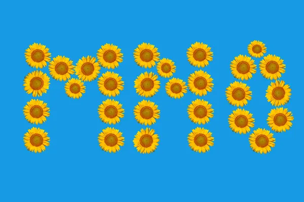 Floral alphabet made ​​from flowers of sunflower. — Stock Photo, Image