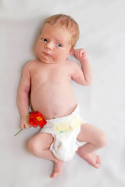 Nouveau-né en couches tenant la fleur orange — Photo
