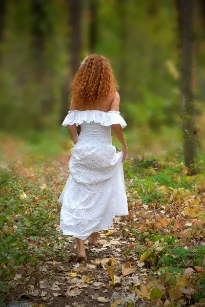 Bride go to the forest, view from the back. The rear view. — Stock Photo, Image