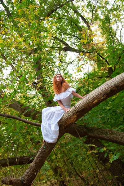 Nevěsta sedící na větvi stromu — Stock fotografie