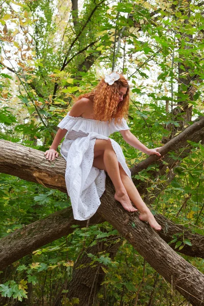 Bride sitting on a tree branch — Stock Photo, Image