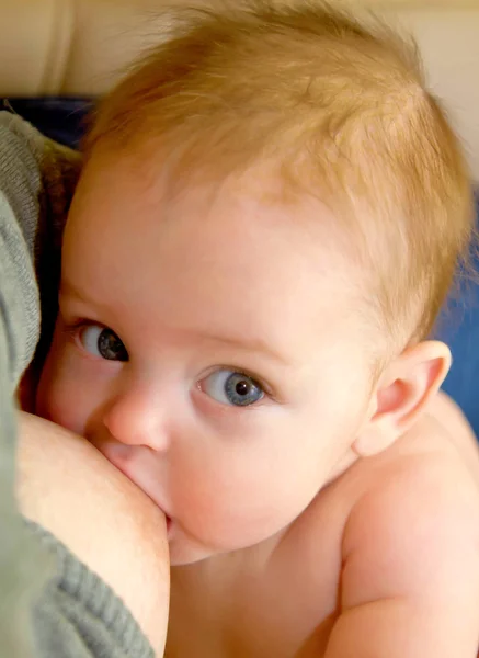 Happy hungry baby breast feeding closeup — Stock Photo, Image