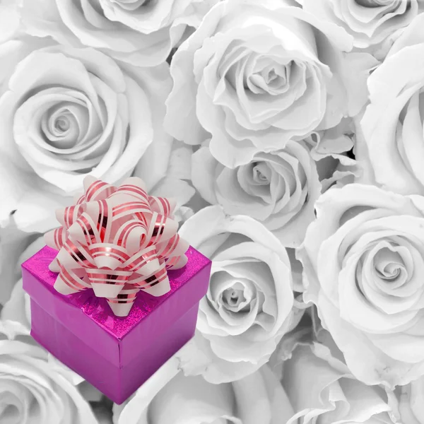 Lila gåva med en rosett på en bakgrund av vita rosor. — Stockfoto