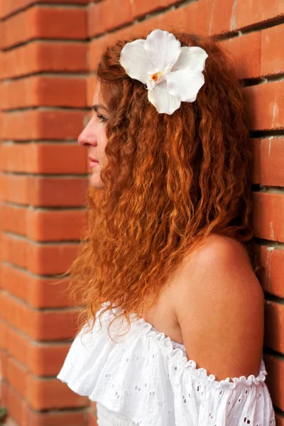 Profil nevěsta — Stock fotografie