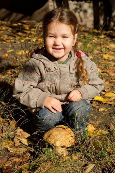 Liten flicka anläggning karljohansvamp — Stockfoto