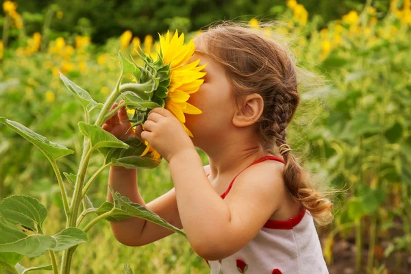 Kind en zonnebloem — Stockfoto