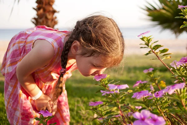 depositphotos_26426387-stock-photo-littl