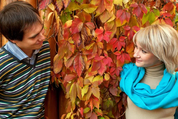 Jong paar in liefde in herfst bos. — Stockfoto