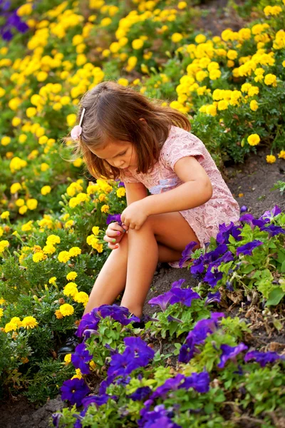 Little girl among the flowers — Stock Photo, Image