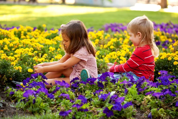 Chłopiec i dziewczynka zbierając kwiaty dla matki. — Zdjęcie stockowe