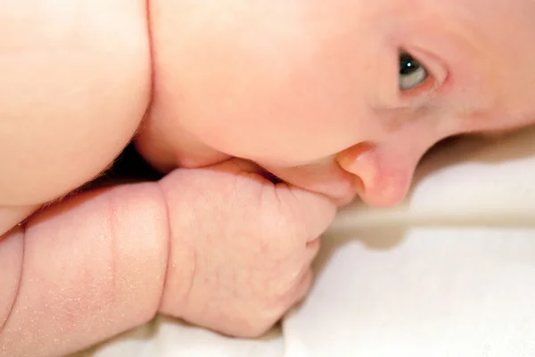 Newborn baby sucking finger close-up — Stock Photo, Image