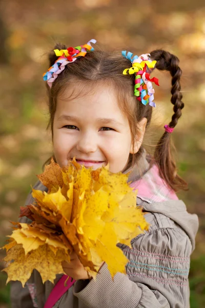 Kleines Mädchen mit einem Strauß Herbstblätter — Stockfoto