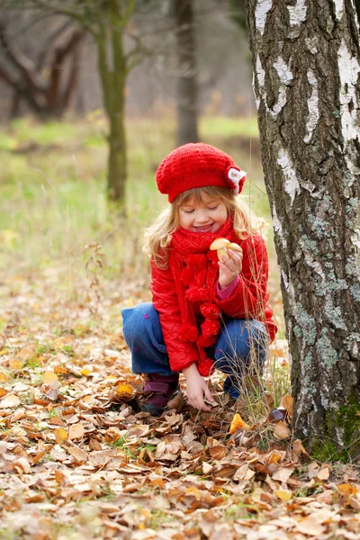 Liten flicka plocka svamp. falla koncept. — Stockfoto