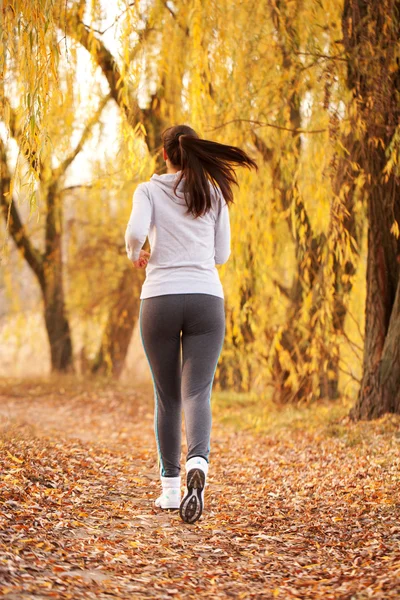 Mujer de mediana edad corriendo mujer. Vista trasera . — Foto de Stock