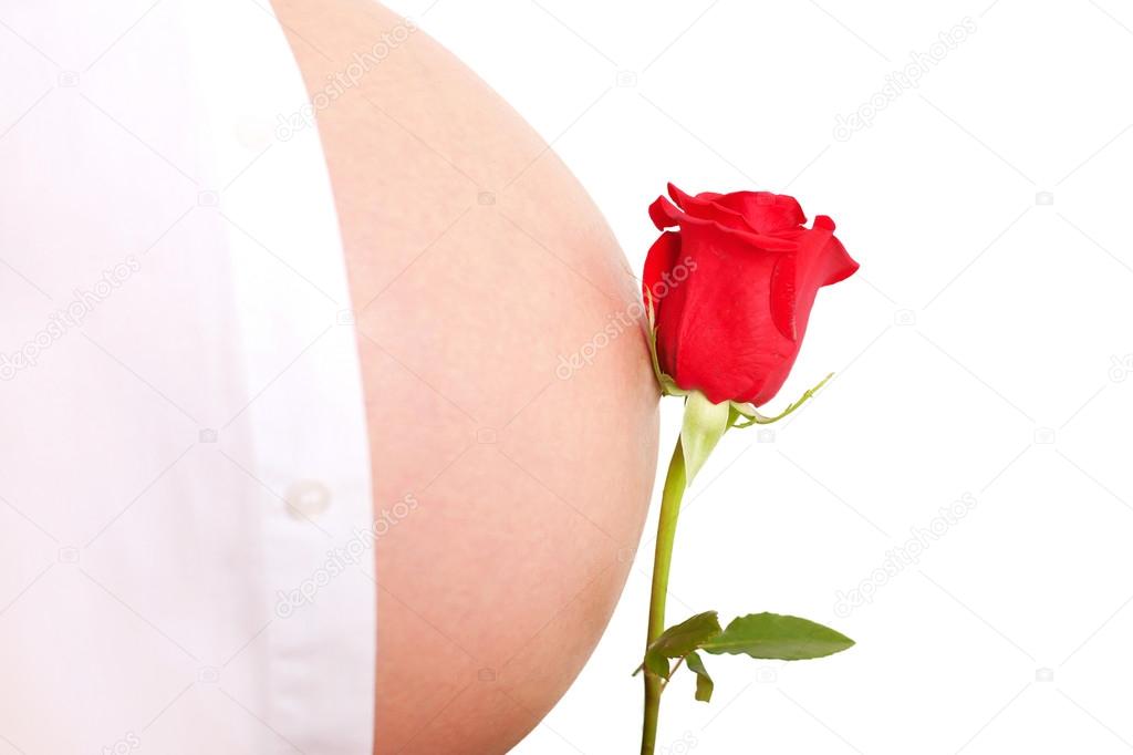 Belly of a pregnant woman and flower red rose. Happy new life concept. Isolated on white background, ready for your logo, text or symbols