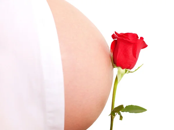 Pregnant belly and flower, nature, love concept — Stock Photo, Image