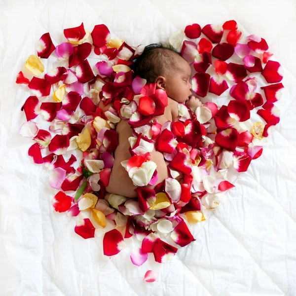 Black newborn baby sleeping in rose — Stock Photo, Image