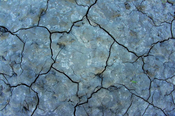 Dry Mud Yesa Swamp Spain — Stock Photo, Image