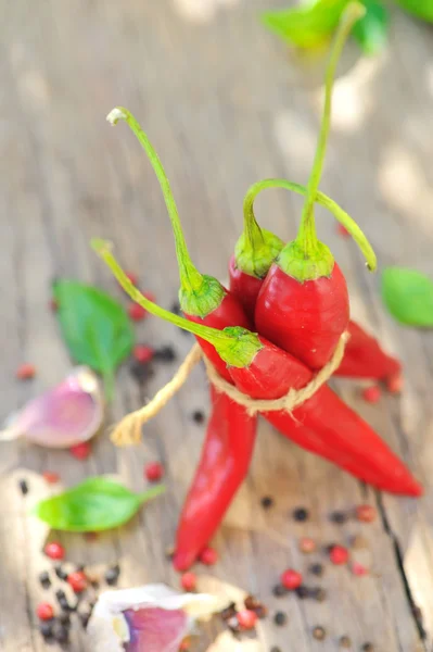 Chili pepper and spices — Stock Photo, Image