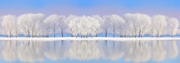 Rio Danúbio em tempo de inverno — Fotografia de Stock