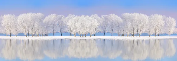 Fiume Danubio in inverno — Foto Stock