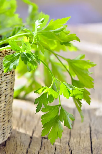 Prezzemolo in cestino intrecciato isolato — Foto Stock