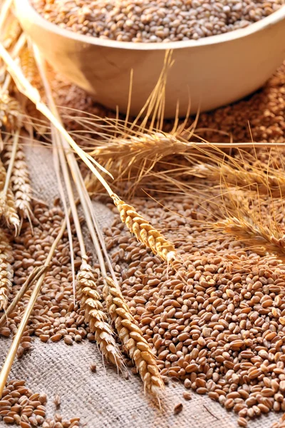 Wheat seeds on rough material — Stock Photo, Image