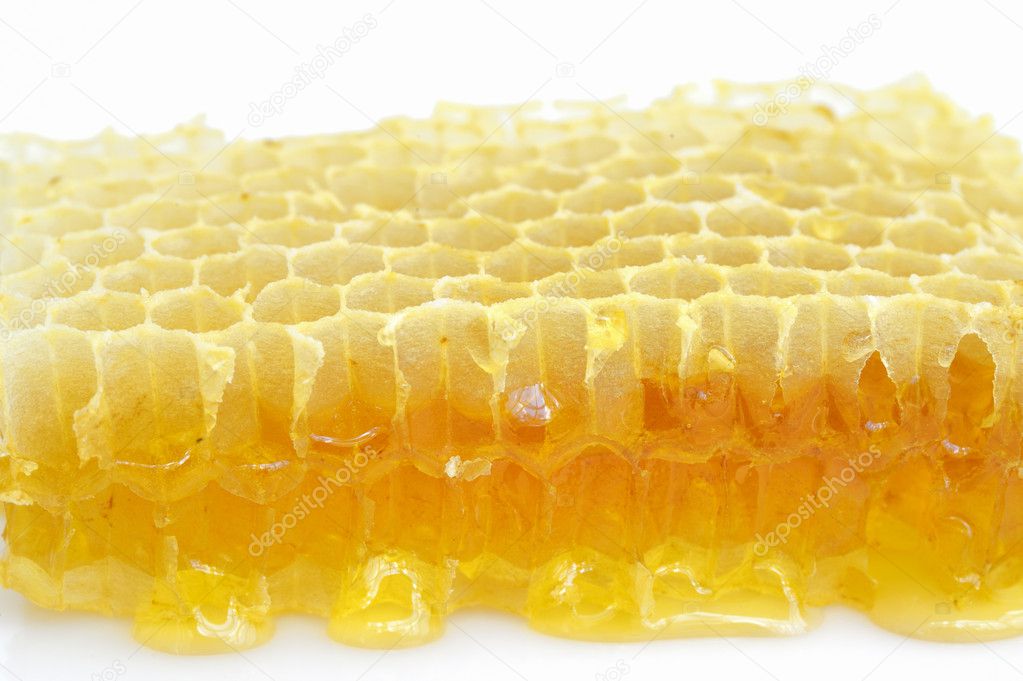 honeycombs isolated on white